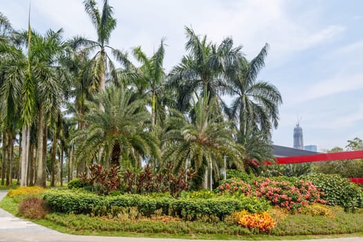 Scenic corner of the park in the center of the metropolis, Shenzhen, China, Asia