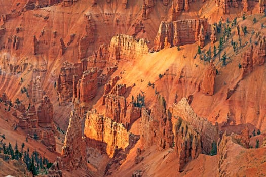 Hoodoo Details in a Deep Canyon in Cedar Breaks National Monument in Utah