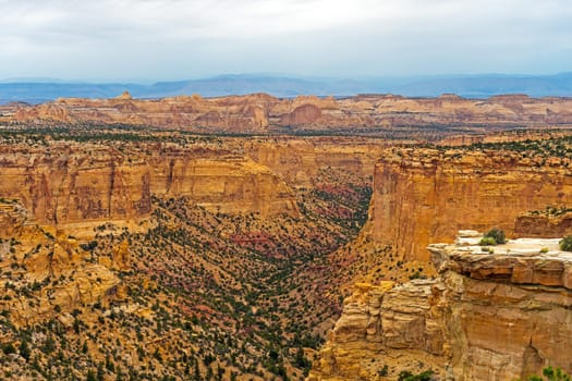 Colorful Canyon on a Cloudy Day in Eastern Utah