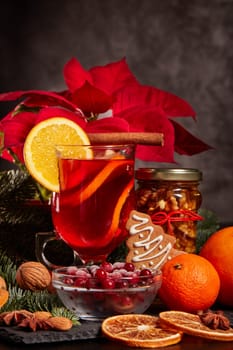 Still life with glasses of mulled wine or fruit tea, Red Poinsettia flowers, fir branch and spices on a dark background. New year and Christmas table setting. Greeting card.