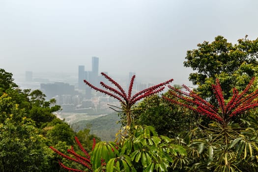 View of the foggy city from the mountains in the early morning, Shenzhen, China, Asia