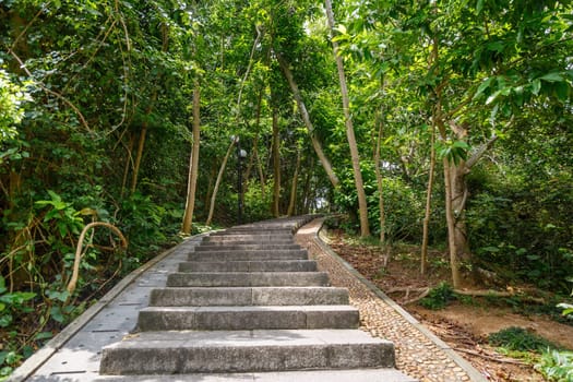 Stone steps in a city green park, Shenzhen, China