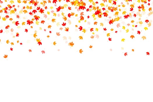Multi colored autumn leaves background