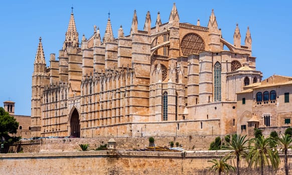 The Cathedral of Santa Maria of Palma in Mallorca with greenin palm trees in front, Balearic Islands, Spain