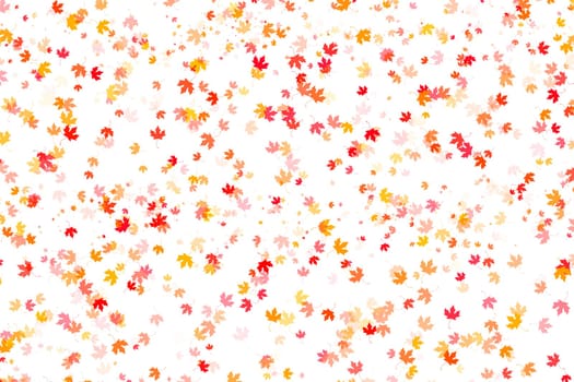Multi colored autumn leaves background