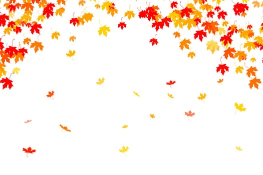 Multi colored autumn leaves background