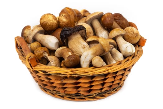 Porcini Mushroom In Basket, delicious food from the forest isolated on white