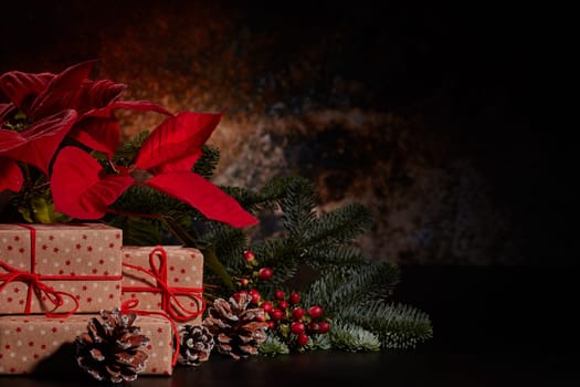 Christmas decoration with Red Poinsettia flowers (Euphorbia Pulcherrima), fir branch and gift boxes on a dark background. New year and Christmas background with copy space. Greeting card.
