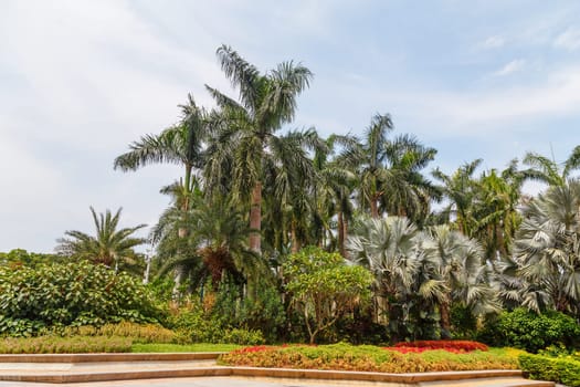 Scenic corner of the park in the center of the metropolis, Shenzhen, China, Asia