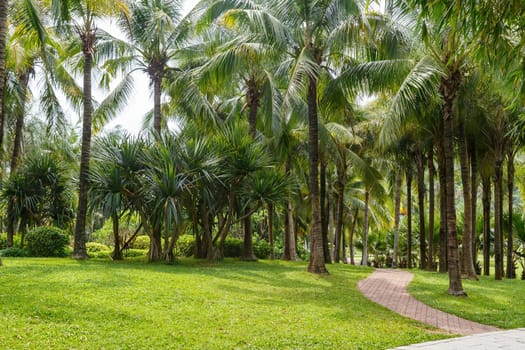Scenic corner of the park in the center of the metropolis, Shenzhen, China, Asia