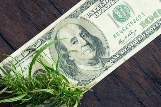 fresh marijuana flower on hundred dollar banknote