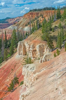 Graceful Colors Amongst the Pines in Cedar Breaks National Monument in Utah