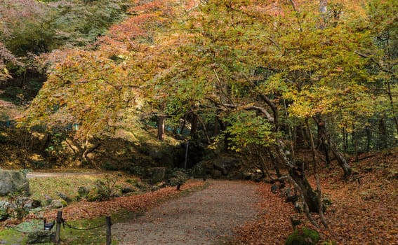 Autumn colored foliage garden with small waterfall at Daigo-ji temple in Kyoto, Japan