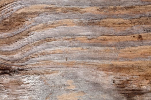 Old Wooden Background with structure in Detail