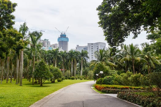 Scenic corner of the park in the center of the metropolis, Shenzhen, China, Asia