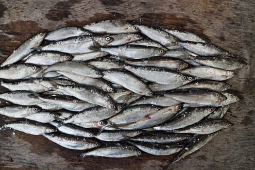 bunch of small silver fish vendace close to on the gray weathered wooden board
