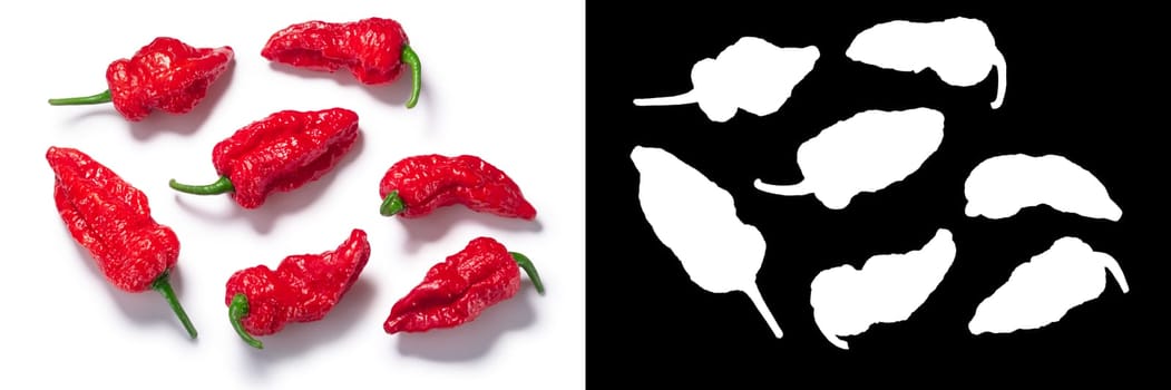 Fatalii pepper (Capsicum chinense fruit), wrinkled whole pods, isolated, top view