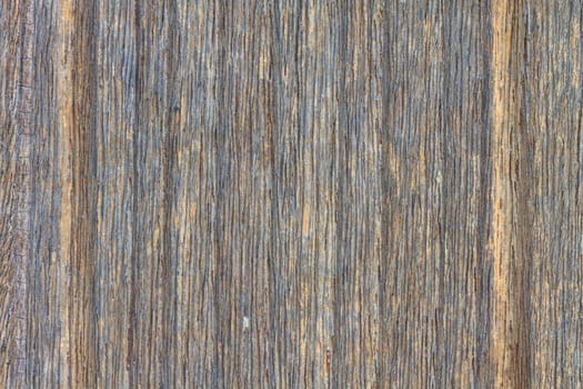 Tree bark texture background, texture of bark wood use as natural background
