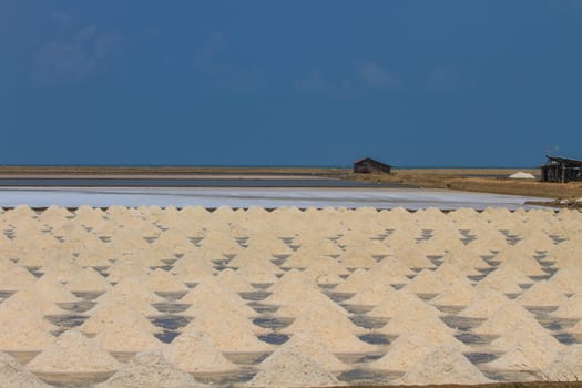 Salt in the Saline in rural Thailand