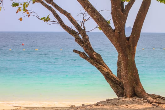 View of koh hong island krabi,Thailand, Tropical beach scenery