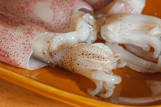 Raw squid on wooden background for cooking