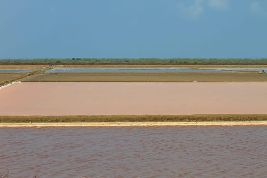 Salt in the Saline in rural Thailand