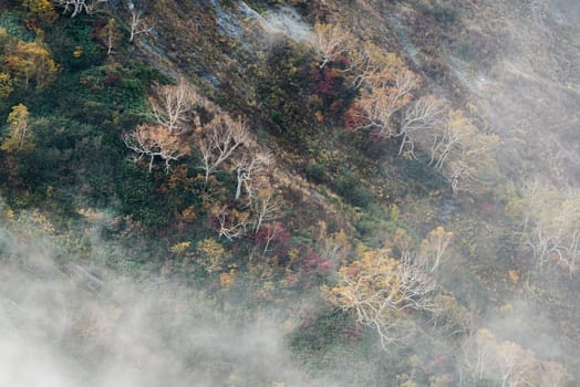 Landscape of Autumn Fall of Hakuba Valley in Nagano Chubu Japan
