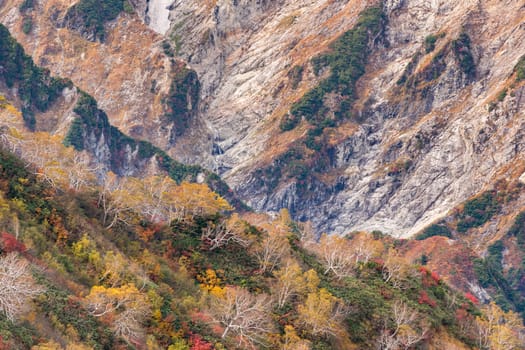 Landscape of Autumn Fall of Hakuba Valley in Nagano Chubu Japan