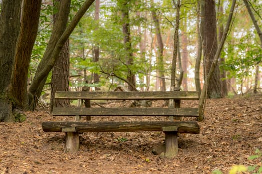 Old bench of thick dark brown wooden beams stands in the forest under deciduous trees on a hill