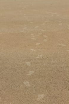 Footprint on sand beach in summer, abstract nature background