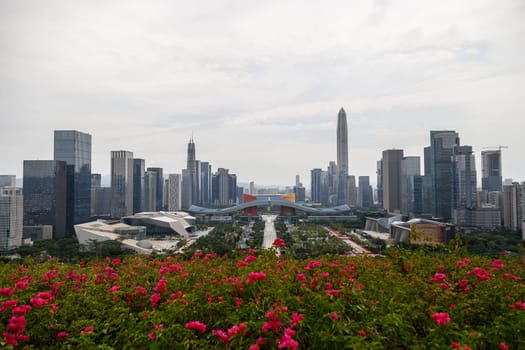 View of the metropolis from the hill, Shenzhen, China, Asia