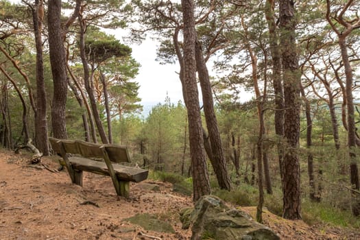 Old bench of thick dark brown wooden beams stands in the forest under coniferous trees on a hill overlooking a valley