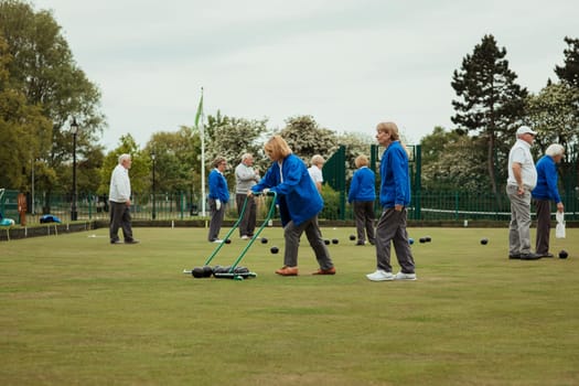 A group of bocce balls being collected by a senior woman using a pick up tool at a bowling green.