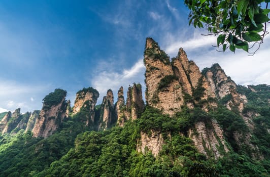 The Gathering of Heavenly Soldiers scenic rock formations, Avatar mountains nature park, Zhangjiajie, Hunan Province, China