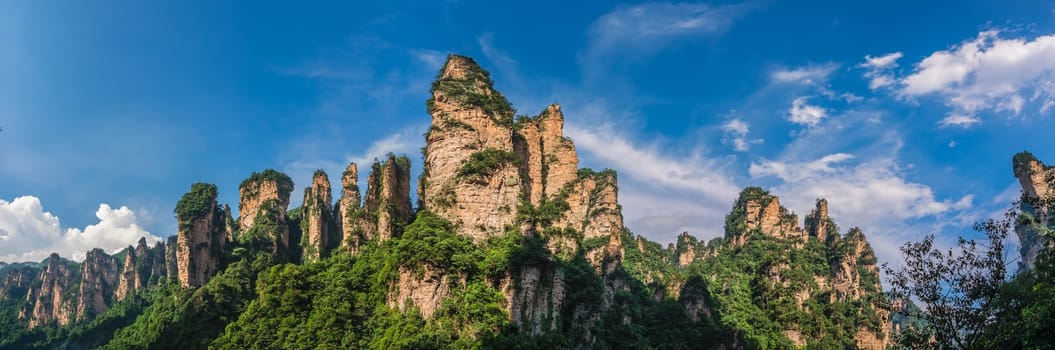 Panorama of the Gathering of Heavenly Soldiers scenic rock formations, Avatar mountains nature park, Zhangjiajie, Hunan Province, China