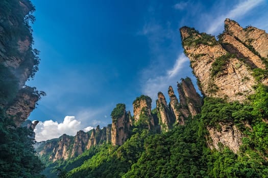 The Gathering of Heavenly Soldiers scenic rock formations, Avatar mountains nature park, Zhangjiajie, Hunan Province, China