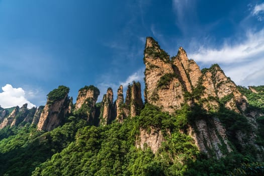 The Gathering of Heavenly Soldiers scenic rock formations, Avatar mountains nature park, Zhangjiajie, Hunan Province, China