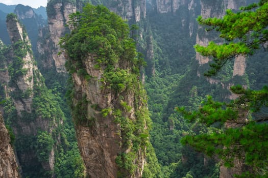 Heaven Pillar Hallelujah Mountain in Tianzi mountain range, Avatar mountains nature park, Zhangjiajie, China
