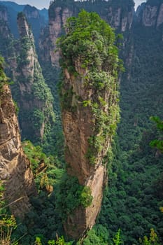 Heaven Pillar Hallelujah Mountain in Tianzi mountain range, Avatar mountains nature park, Zhangjiajie, China