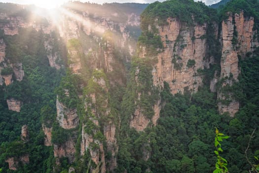 Stunning rock formations seen from the Enchanting terrace viewpoint, Avatar mountains nature park, Zhangjiajie, China