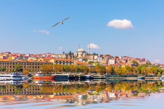 View on the Yavuz Selim Mosque and the university building from the Golden Horn, Istanbul, Turkey.