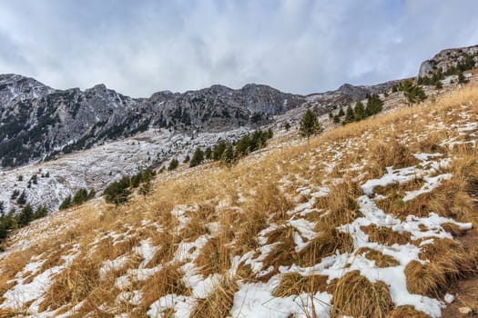 mountain landscape in Piatra Craiului Mountains, Romania