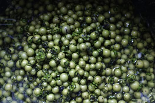 Fresh Diospyros mollis fruits Background , Thai herb and Natural dyes for fabric