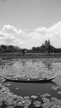 wooden canoe water lilies pink outdoors paradise pond black white