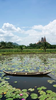 wooden canoe water lilies pink outdoors paradise pond