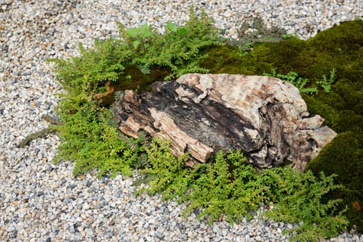 Natural stone landscaping in home garden, stock photo