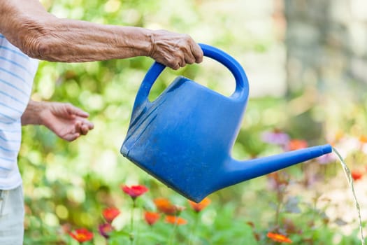 Elderly woman in her 80s watering plants in her garden