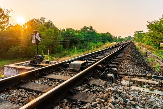 Railroad and railway train transportation with color of sky sunlight in forest background