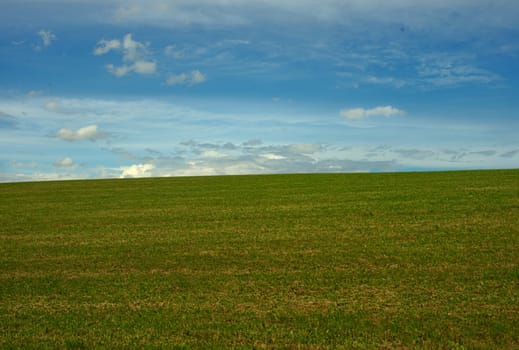 Green grass field and blue cloudy sky