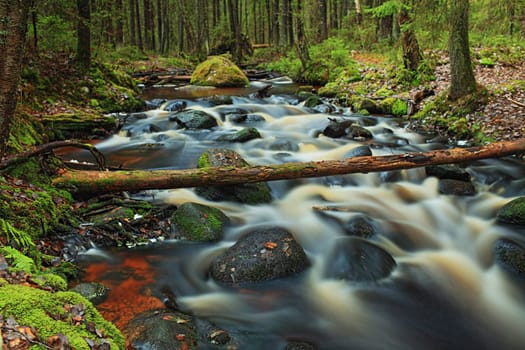 fast forest river autumn landscape long exposure, hdr